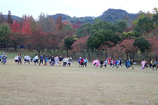 2016-11-06 11.58.37.jpg