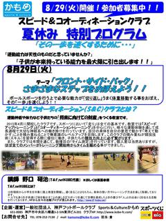 2017年度夏休み特別プログラム_01.jpg