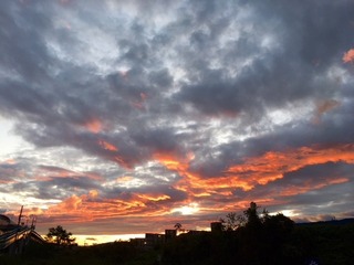 IMG_0364.jpg