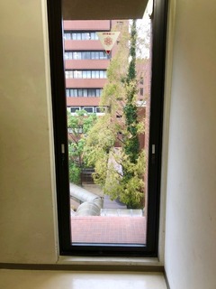 IMG_0800.jpg