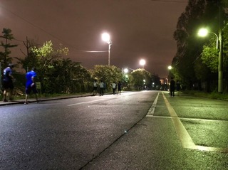 IMG_1701.jpg