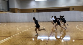IMG_2992.jpg