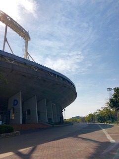 IMG_3056.jpg