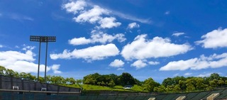 IMG_3493.jpg