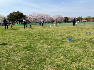 IMG_3583.jpg