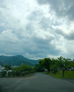 IMG_4590.jpg
