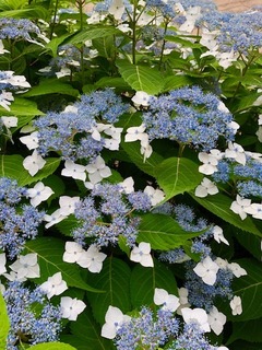 IMG_4887.jpg