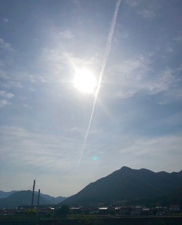 IMG_4965.jpg