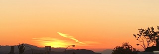 IMG_5085.jpg