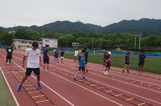 IMG_5320.jpg