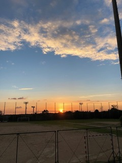 IMG_5367.jpg