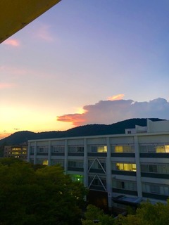 IMG_5422.jpg