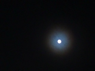 IMG_5456.jpg