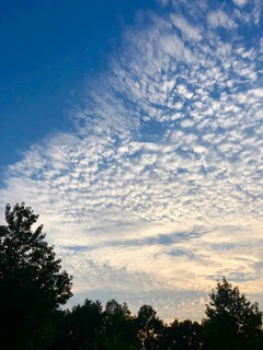 IMG_6244.jpg