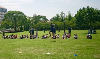 IMG_6303.jpg
