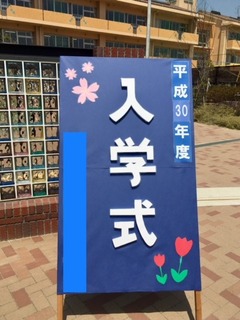 IMG_7738.jpg
