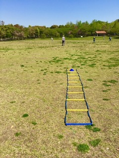 IMG_7816.jpg