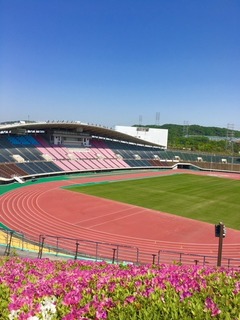 IMG_7875.jpg