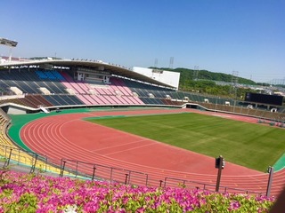 IMG_7876.jpg
