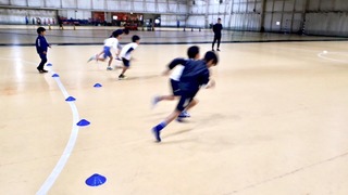 IMG_7989.JPG