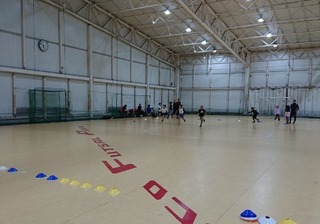 IMG_8115.JPG