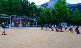 IMG_8412.jpg