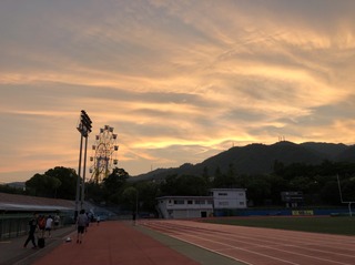 IMG_8606.jpg