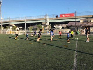 IMG_8667.jpg
