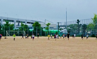 IMG_8699.jpg