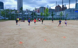 IMG_8811.jpg