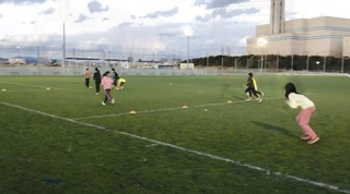 IMG_9055.jpg