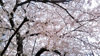 20210330_224513_247.jpg