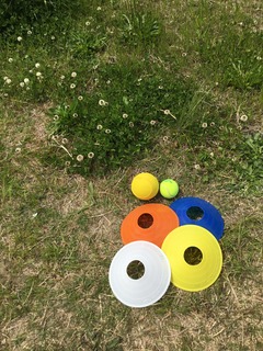 ABDED518-83F4-4F8B-BE1D-FD5FAFE72FD6.jpeg