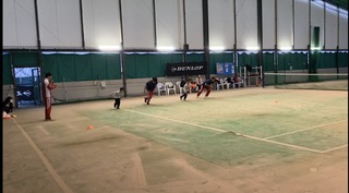 IMG_9716.JPG